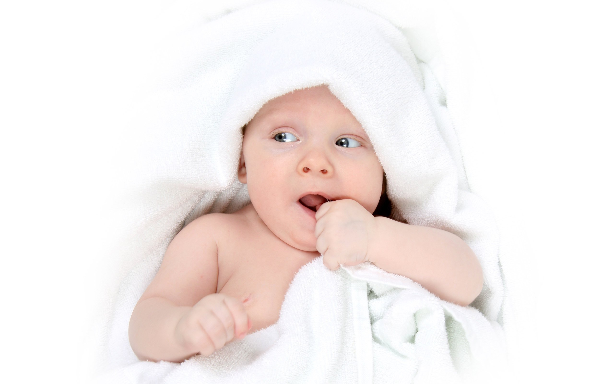 捐卵代怀爱维艾夫试管婴儿成功率